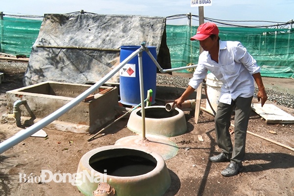 Công nghệ biogas nuôi tôm